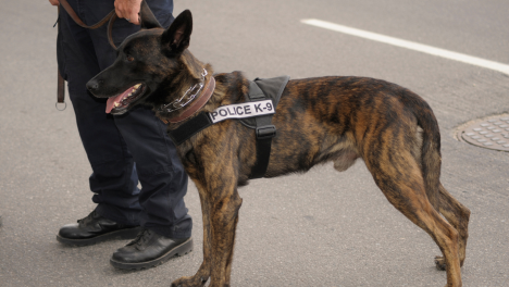 خدمات امنية