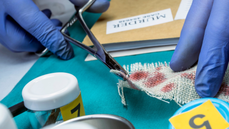 السايبر والطب الشرعي