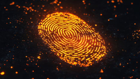 فحص خلفيات الاشخاص