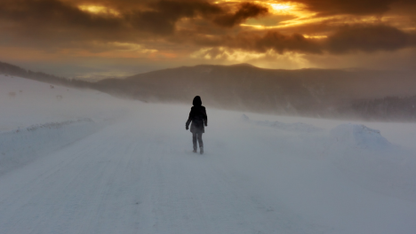 البحث عن الاطفال المفقودين